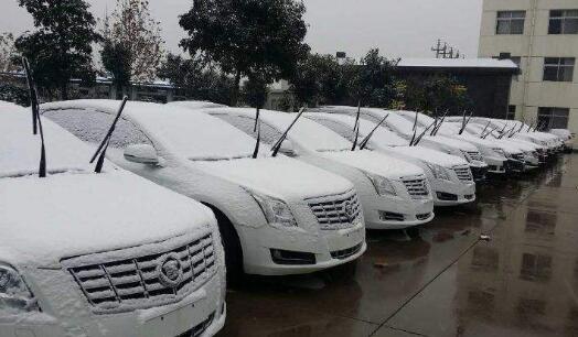 1515375099161842.jpg 10.jpg