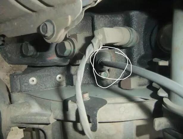 1515575065111835.jpg 7.jpg