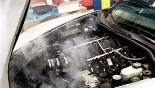 1515663000529204.jpg 5.jpg