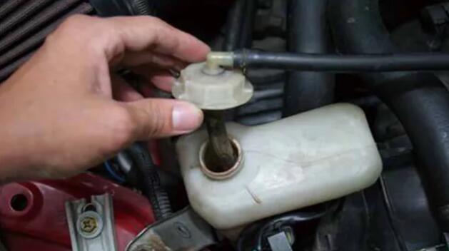 1515663149976993.jpg 7.jpg