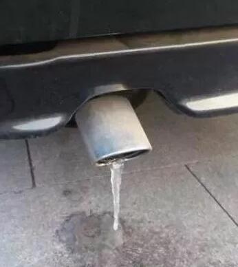 1516094073583166.jpg 6.jpg