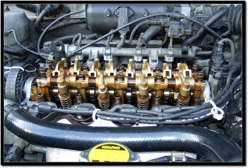 1517293839137357.jpg 10.jpg