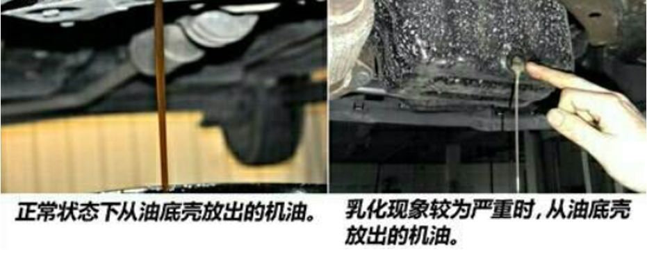 1517447029361509.jpeg 7.jpeg