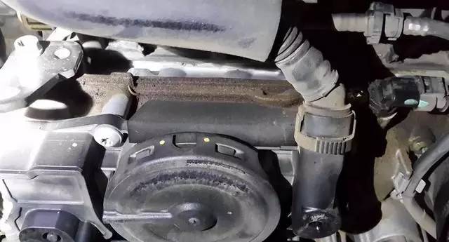 1519801005920535.jpg 9.jpg