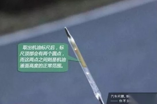 1533530971227207.jpg 6.jpg