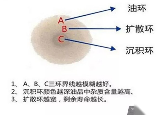 1533530989838517.jpg 7.jpg