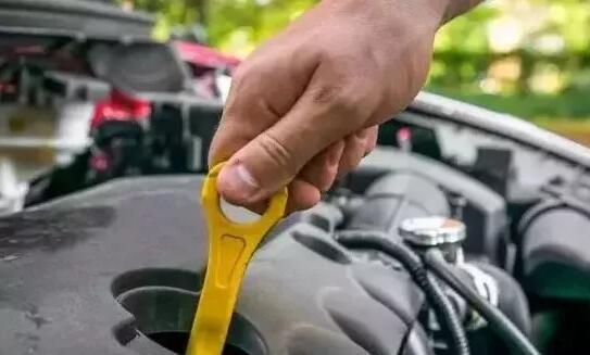 1540360943130455.jpg 3.jpg