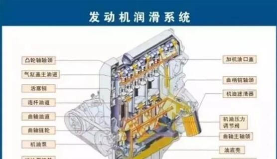 1541993951179012.jpg 3.jpg