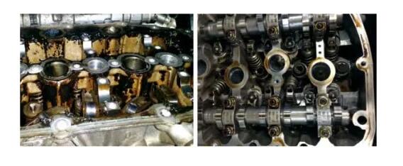 1542159597616774.jpg 2.jpg