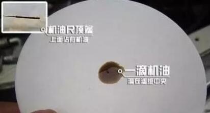 1544404497114537.jpg 13.jpg