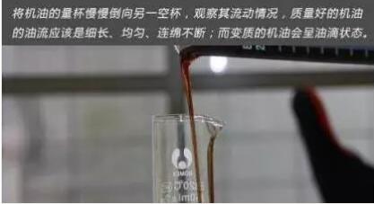 1544404561117950.jpg 15.jpg