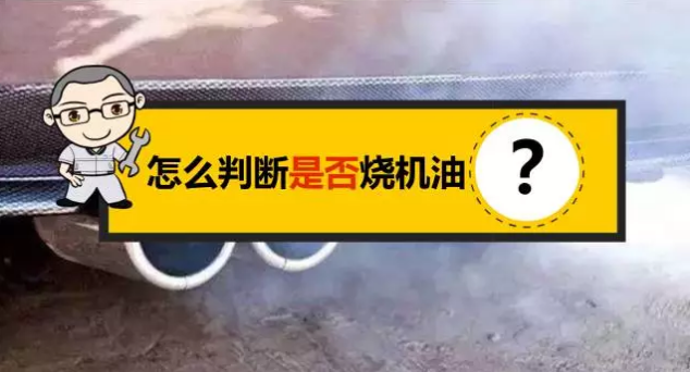 1554193459160035.png 3.png